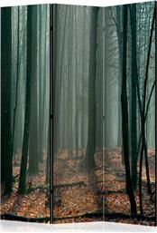 ΔΙΑΧΩΡΙΣΤΙΚΟ ΜΕ 3 ΤΜΗΜΑΤΑ - WITCHES' FOREST [ROOM DIVIDERS] POLIHOME από το POLIHOME