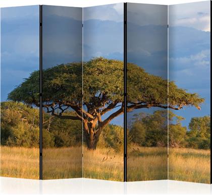 ΔΙΑΧΩΡΙΣΤΙΚΟ ΜΕ 5 ΤΜΗΜΑΤΑ - AFRICAN ACACIA TREE, HWANGE NATIONAL PARK, ZIMBABWE II [ROOM DIVIDERS] POLIHOME