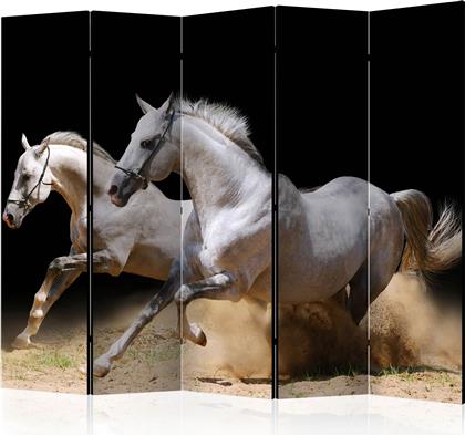 ΔΙΑΧΩΡΙΣΤΙΚΟ ΜΕ 5 ΤΜΗΜΑΤΑ - GALLOPING HORSES ON THE SAND II [ROOM DIVIDERS] POLIHOME