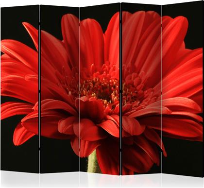ΔΙΑΧΩΡΙΣΤΙΚΟ ΜΕ 5 ΤΜΗΜΑΤΑ - RED GERBERA FLOWER II [ROOM DIVIDERS] POLIHOME από το POLIHOME