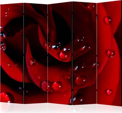 ΔΙΑΧΩΡΙΣΤΙΚΟ ΜΕ 5 ΤΜΗΜΑΤΑ - RED ROSE WITH WATER DROPS II [ROOM DIVIDERS] POLIHOME από το POLIHOME