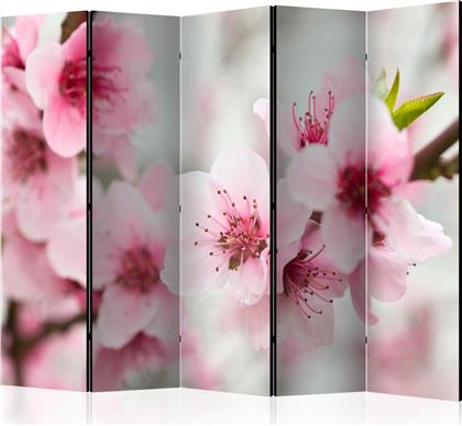 ΔΙΑΧΩΡΙΣΤΙΚΟ ΜΕ 5 ΤΜΗΜΑΤΑ - SPRING, BLOOMING TREE - PINK FLOWERS II [ROOM DIVIDERS] POLIHOME