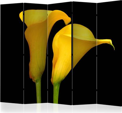 ΔΙΑΧΩΡΙΣΤΙΚΟ ΜΕ 5 ΤΜΗΜΑΤΑ - TWO YELLOW CALLA FLOWERS ON A BLACK BACKGROUND II [ROOM DIVIDERS] POLIHOME