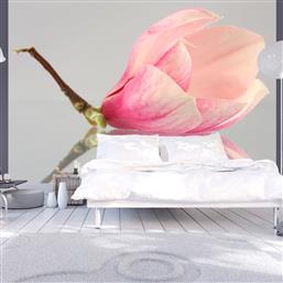 ΦΩΤΟΤΑΠΕΤΣΑΡΙΑ - A LONELY MAGNOLIA FLOWER 400X309 POLIHOME από το POLIHOME