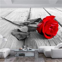 ΦΩΤΟΤΑΠΕΤΣΑΡΙΑ - ABANDONED ROSE 150X105 POLIHOME