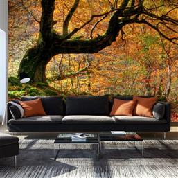 ΦΩΤΟΤΑΠΕΤΣΑΡΙΑ - AUTUMN, FOREST AND LEAVES 450X270 POLIHOME