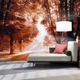 ΦΩΤΟΤΑΠΕΤΣΑΡΙΑ - AUTUMN PARK 250X175 POLIHOME