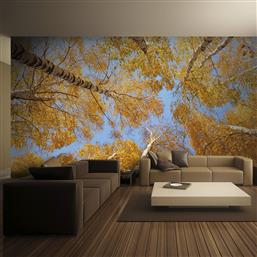 ΦΩΤΟΤΑΠΕΤΣΑΡΙΑ - AUTUMNAL TREETOPS 350X270 POLIHOME από το POLIHOME