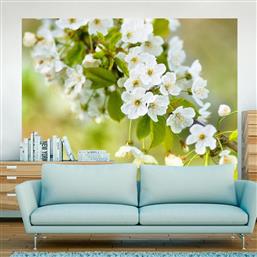 ΦΩΤΟΤΑΠΕΤΣΑΡΙΑ - BEAUTIFUL DELICATE CHERRY BLOSSOMS 350X270 POLIHOME