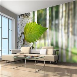 ΦΩΤΟΤΑΠΕΤΣΑΡΙΑ - BIRCH LEAF 400X309 POLIHOME από το POLIHOME