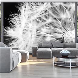 ΦΩΤΟΤΑΠΕΤΣΑΡΙΑ - BLACK AND WHITE DANDELION 100X70 POLIHOME από το POLIHOME