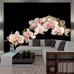 ΦΩΤΟΤΑΠΕΤΣΑΡΙΑ - BLOOMING ORCHID 350X270 POLIHOME