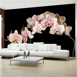 ΦΩΤΟΤΑΠΕΤΣΑΡΙΑ - BLOOMING ORCHID 450X270 POLIHOME