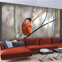 ΦΩΤΟΤΑΠΕΤΣΑΡΙΑ - BULLFINCH IN THE FOREST 350X270 POLIHOME