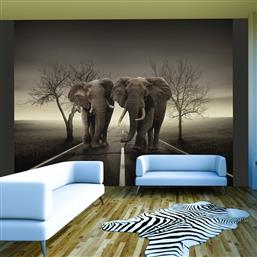 ΦΩΤΟΤΑΠΕΤΣΑΡΙΑ - CITY OF ELEPHANTS 350X270 POLIHOME