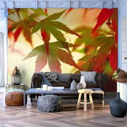 ΦΩΤΟΤΑΠΕΤΣΑΡΙΑ - COLOURFUL LEAVES 300X231 POLIHOME