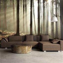 ΦΩΤΟΤΑΠΕΤΣΑΡΙΑ - CONIFEROUS FOREST 450X270 POLIHOME