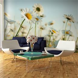 ΦΩΤΟΤΑΠΕΤΣΑΡΙΑ - DAISIES - SPRING MEADOW 450X270 POLIHOME