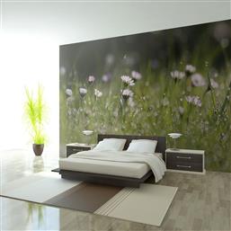 ΦΩΤΟΤΑΠΕΤΣΑΡΙΑ - DAISIES WITH MORNING DEW 350X270 POLIHOME