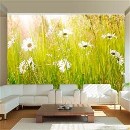 ΦΩΤΟΤΑΠΕΤΣΑΡΙΑ - DAISY FIELD 350X270 POLIHOME