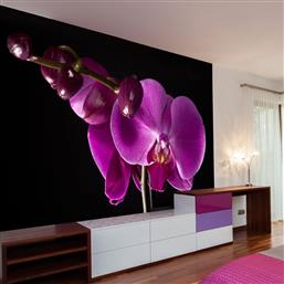 ΦΩΤΟΤΑΠΕΤΣΑΡΙΑ - ELEGANT ORCHIS 350X270 POLIHOME