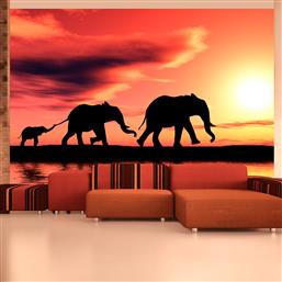 ΦΩΤΟΤΑΠΕΤΣΑΡΙΑ - ELEPHANTS: FAMILY 200X154 POLIHOME