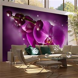 ΦΩΤΟΤΑΠΕΤΣΑΡΙΑ - FAIRY TALE AND ORCHID 450X270 POLIHOME