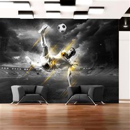 ΦΩΤΟΤΑΠΕΤΣΑΡΙΑ - FOOTBALL LEGEND 250X175 POLIHOME