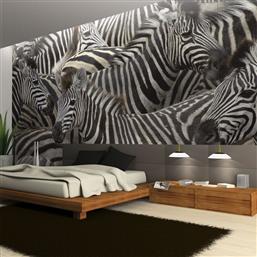 ΦΩΤΟΤΑΠΕΤΣΑΡΙΑ - HERD OF ZEBRAS 250X193 POLIHOME