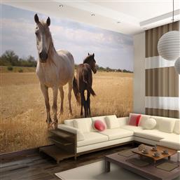 ΦΩΤΟΤΑΠΕΤΣΑΡΙΑ - HORSE AND FOAL 350X270 POLIHOME από το POLIHOME