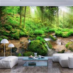 ΦΩΤΟΤΑΠΕΤΣΑΡΙΑ - HUMID FOREST 400X280 POLIHOME από το POLIHOME