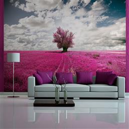 ΦΩΤΟΤΑΠΕΤΣΑΡΙΑ - MAGENTA MEADOW 350X270 POLIHOME