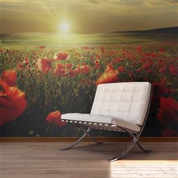 ΦΩΤΟΤΑΠΕΤΣΑΡΙΑ - MORNING ON THE POPPY MEADOW 450X270 POLIHOME