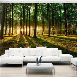 ΦΩΤΟΤΑΠΕΤΣΑΡΙΑ - MYSTICAL MORNING 400X280 POLIHOME από το POLIHOME