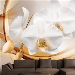 ΦΩΤΟΤΑΠΕΤΣΑΡΙΑ - ORCHID BLOSSOM 250X175 POLIHOME