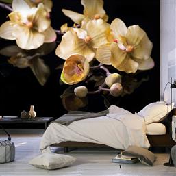 ΦΩΤΟΤΑΠΕΤΣΑΡΙΑ - ORCHIDS IN ECRU COLOR 400X309 POLIHOME από το POLIHOME