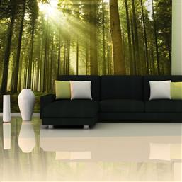 ΦΩΤΟΤΑΠΕΤΣΑΡΙΑ - PINE FOREST 450X270 POLIHOME