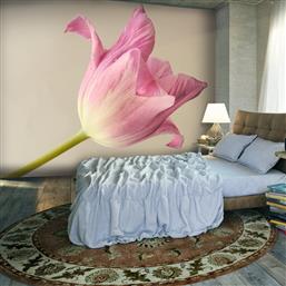 ΦΩΤΟΤΑΠΕΤΣΑΡΙΑ - PINK TULIP 400X309 POLIHOME