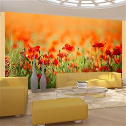 ΦΩΤΟΤΑΠΕΤΣΑΡΙΑ - POPPIES IN SHINY SUMMER DAY 450X270 POLIHOME