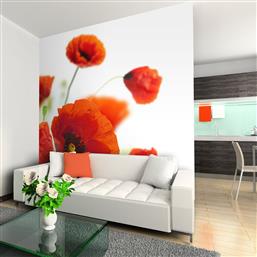 ΦΩΤΟΤΑΠΕΤΣΑΡΙΑ - POPPIES ON THE WIHITE BACKGROUND 350X270 POLIHOME από το POLIHOME