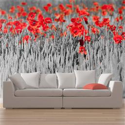 ΦΩΤΟΤΑΠΕΤΣΑΡΙΑ - RED POPPIES ON BLACK AND WHITE BACKGROUND 450X270 POLIHOME