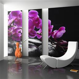 ΦΩΤΟΤΑΠΕΤΣΑΡΙΑ - RELAXING MOMENT: ORCHID FLOWER AND STONES 200X154 POLIHOME από το POLIHOME