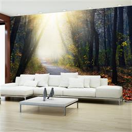 ΦΩΤΟΤΑΠΕΤΣΑΡΙΑ - ROAD THROUGH THE FOREST 400X280 POLIHOME