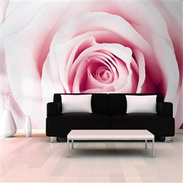 ΦΩΤΟΤΑΠΕΤΣΑΡΙΑ - ROSE MAZE 150X105 POLIHOME