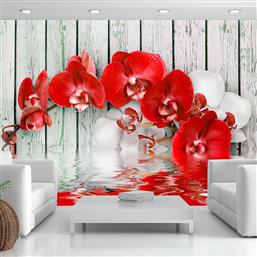 ΦΩΤΟΤΑΠΕΤΣΑΡΙΑ - RUBY ORCHID 150X105 POLIHOME