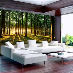 ΦΩΤΟΤΑΠΕΤΣΑΡΙΑ - SPRING: MORNING IN THE FOREST 400X280 POLIHOME από το POLIHOME