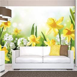 ΦΩΤΟΤΑΠΕΤΣΑΡΙΑ - SPRING WALK 250X175 POLIHOME