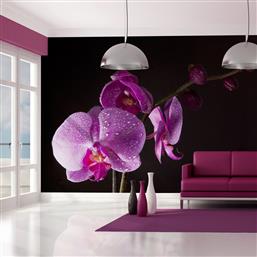 ΦΩΤΟΤΑΠΕΤΣΑΡΙΑ - STYLISH ORCHIS 350X270 POLIHOME