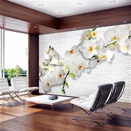 ΦΩΤΟΤΑΠΕΤΣΑΡΙΑ - THE URBAN ORCHID 250X175 POLIHOME