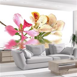 ΦΩΤΟΤΑΠΕΤΣΑΡΙΑ - TROPICAL FLOWERS - ORCHID TREE (BAUHINIA) 350X270 POLIHOME